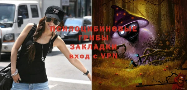 дмт Кукмор