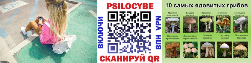 Купить где  Тулун  Галлюциногенные грибы прущие грибы 